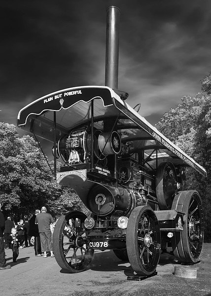 Showman`s (Traction) Engine_Reknown Picture Board by Rob Lester