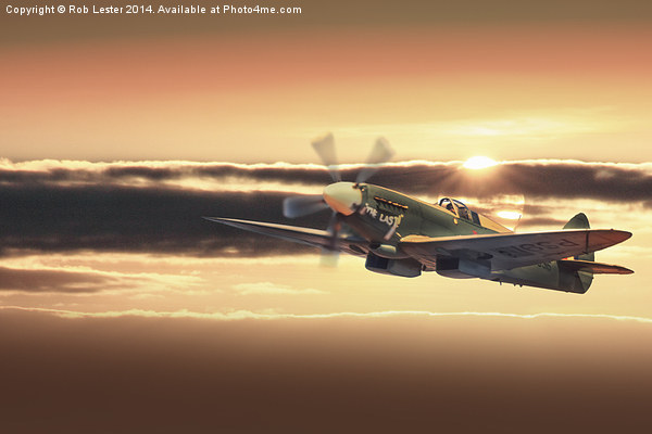 The Last Spitfire Climbs in the sun Picture Board by Rob Lester