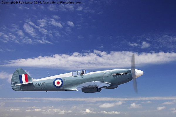   The Last Spitfire Picture Board by Rob Lester