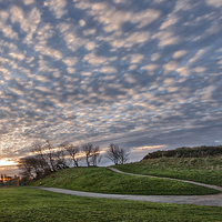 Buy canvas prints of Mackerel Sky in the Park by Rob Lester