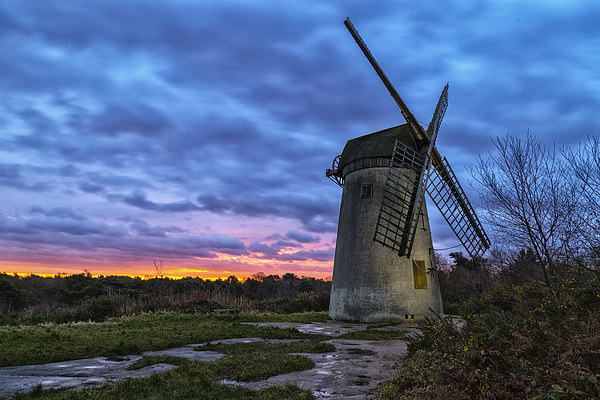  Bidston windmill Sunrise Picture Board by Rob Lester