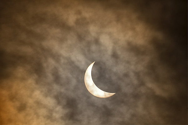  Solar eclipse 2015 Picture Board by Rob Lester