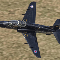 Buy canvas prints of  Low flying Hawk by Rob Lester