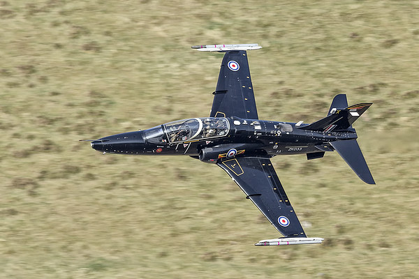  BAE hawk, Double thumbs up Picture Board by Rob Lester