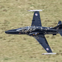 Buy canvas prints of  BAE hawk, Double thumbs up by Rob Lester