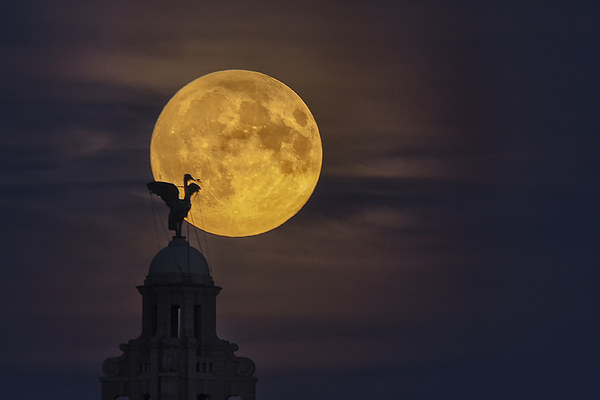  Liverpool super moon Picture Board by Rob Lester