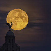 Buy canvas prints of  Liverpool super moon by Rob Lester