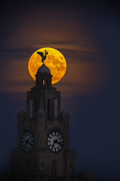   Liverpool super moon through the haze Picture Board by Rob Lester