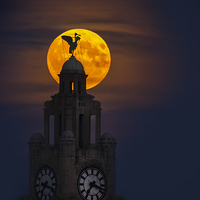 Buy canvas prints of   Liverpool super moon through the haze by Rob Lester