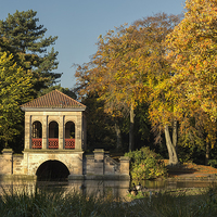 Buy canvas prints of  Autumn in Birkenhead Park by Rob Lester