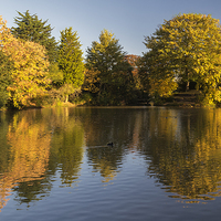 Buy canvas prints of  Autumn Reflections by Rob Lester