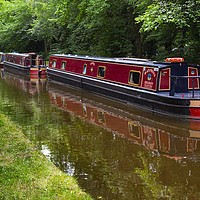 Buy canvas prints of Llangollen canal by Rob Lester