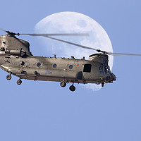 Buy canvas prints of CH47 Chinook Daymoon  by Rob Lester