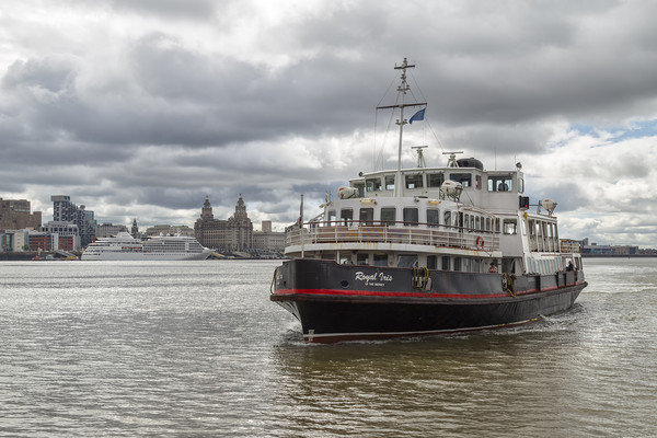 The Royal Iris, Mersey Ferry Picture Board by Rob Lester