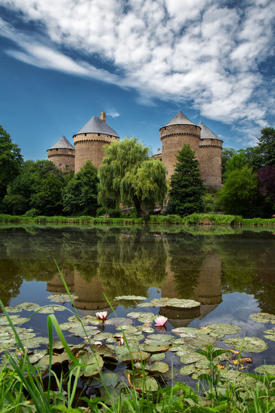 Medieval Chateau on a Reflective Lake Picture Board by Rob Lester
