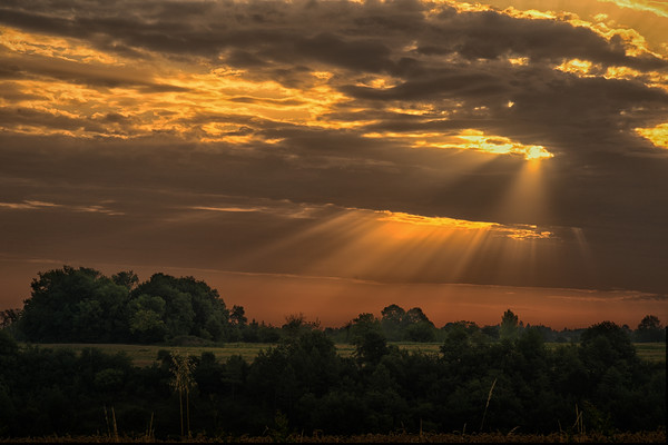 Sunrise in the Dordogne Picture Board by Rob Lester