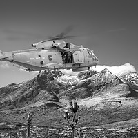 Buy canvas prints of Merlin In the Cuillins by Rob Lester