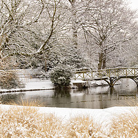 Buy canvas prints of A bridge in the snow at Birkenhead park by Rob Lester