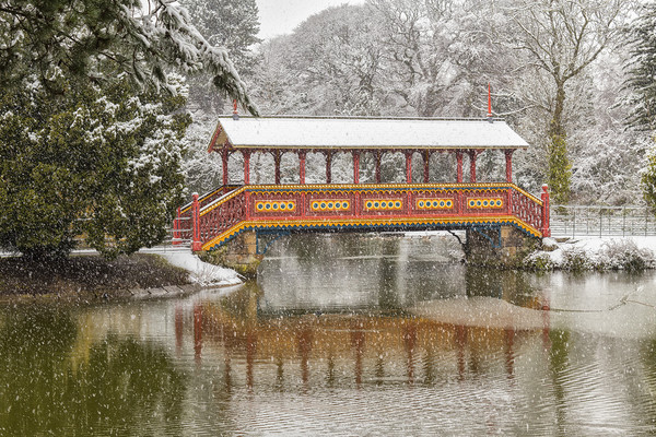 Snowfall, Swiss Bridge,Birkenhead Park Picture Board by Rob Lester