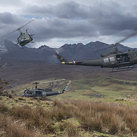 Buy canvas prints of Valkyrie Hueys by Rob Lester
