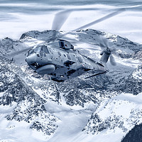 Buy canvas prints of Snow Mountains Royal Navy Merlin by Rob Lester