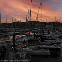 Buy canvas prints of Torquay Marina Sunset by Steve Garrity