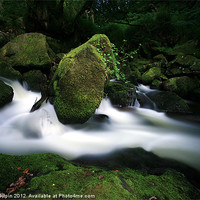 Buy canvas prints of Golitha falls by James Gilpin