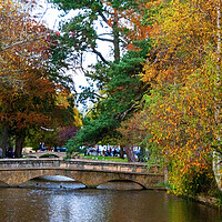 Buy canvas prints of Autumn Trees Bourton on the Water Cotswolds by Andy Evans Photos