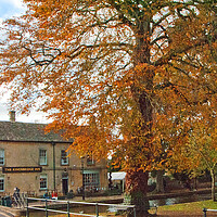 Buy canvas prints of Autumn Trees Bourton on the Water Cotswolds by Andy Evans Photos