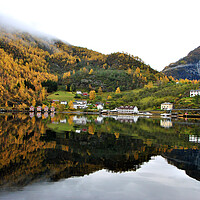 Buy canvas prints of Autumn Trees Flam Aurlandsfjord Norway by Andy Evans Photos
