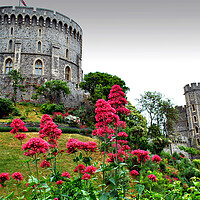 Buy canvas prints of Windsor Castle Berkshire England UK by Andy Evans Photos