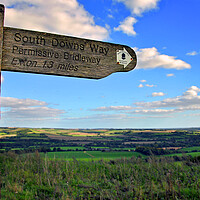 Buy canvas prints of South Downs Beacon Hill Hampshire England by Andy Evans Photos