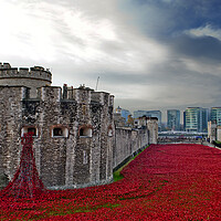 Buy canvas prints of Tower Of London Poppies Red Poppy by Andy Evans Photos