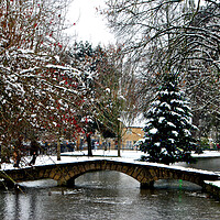 Buy canvas prints of Enchanting Christmas Tree in Bourton on the Water by Andy Evans Photos
