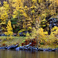 Buy canvas prints of Serene Autumnal Scene at Flam Aurlandsfjord Norweg by Andy Evans Photos