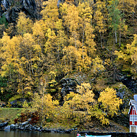 Buy canvas prints of Flam Aurlandsfjord Norwegian Fjord Norway by Andy Evans Photos