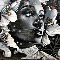 Buy canvas prints of Street Art Graffiti Digbeth Birmingham by Andy Evans Photos