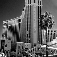 Buy canvas prints of "A Captivating Oasis in Vegas" by Andy Evans Photos