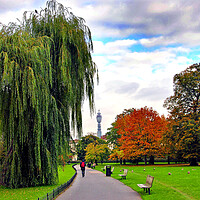 Buy canvas prints of Autumn Splendour in Regents Park by Andy Evans Photos