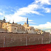 Buy canvas prints of 'Tower of London: Scarlet Sea Remembrance' by Andy Evans Photos