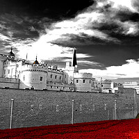 Buy canvas prints of Tower of London's Ceremonial Red Poppies by Andy Evans Photos