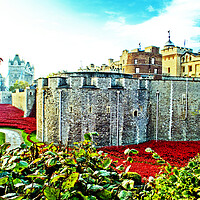 Buy canvas prints of Blood-Swept Seas: London's Tower Poppy Tribute by Andy Evans Photos