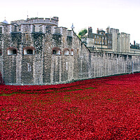 Buy canvas prints of London Tower's Sea of Red Poppies by Andy Evans Photos