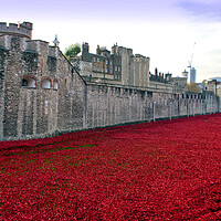 Buy canvas prints of Tower of London's Blood-Red Poppy Tribute by Andy Evans Photos