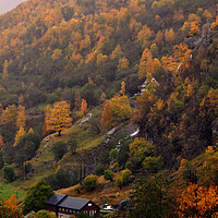 Buy canvas prints of Autumn Trees Flamsdalen Valley Flam Norway Scandinavia by Andy Evans Photos