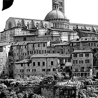 Buy canvas prints of Siena Skyline Cityscape Tuscany Italy by Andy Evans Photos