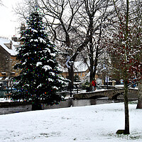 Buy canvas prints of Bourton on the Water Christmas Tree Cotswolds by Andy Evans Photos