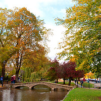 Buy canvas prints of Autumn Trees Bourton on the Water Cotswolds Gloucestershire by Andy Evans Photos