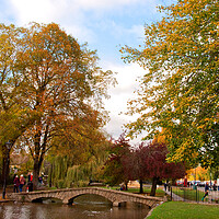 Buy canvas prints of Autumn Trees Bourton on the Water Cotswolds Gloucestershire by Andy Evans Photos