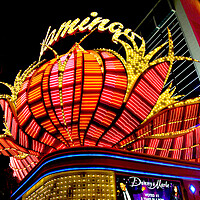 Buy canvas prints of Flamingo Las Vegas Hotel Neon Lights America by Andy Evans Photos